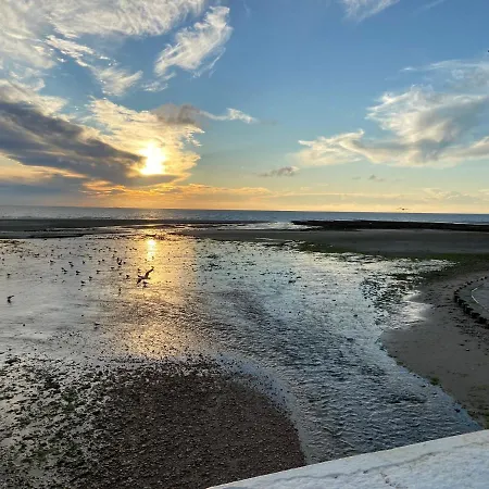 Face A La 위머로우