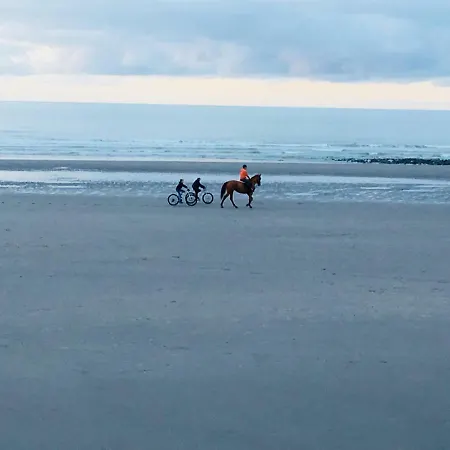 Apartamento Face A La *